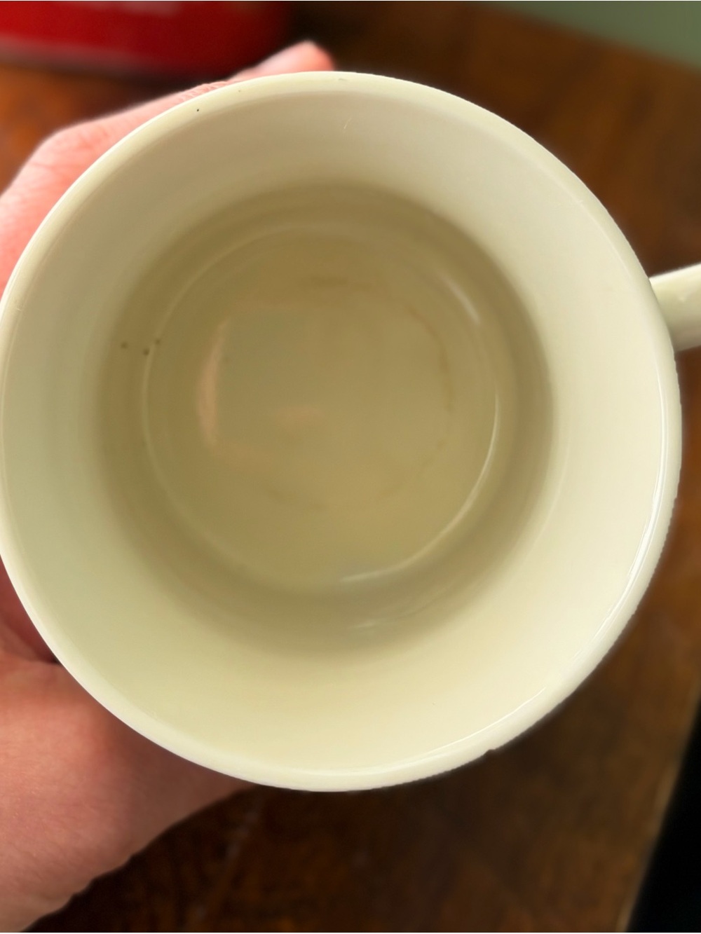Porcelain Vintage Charming Strawberry Botanical Mug - White with Red & Green - Picture 4 of 6